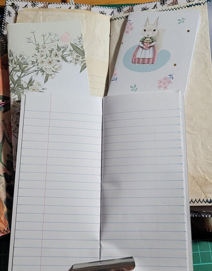 A quick look at some of the mini notebooks that are in each journal.